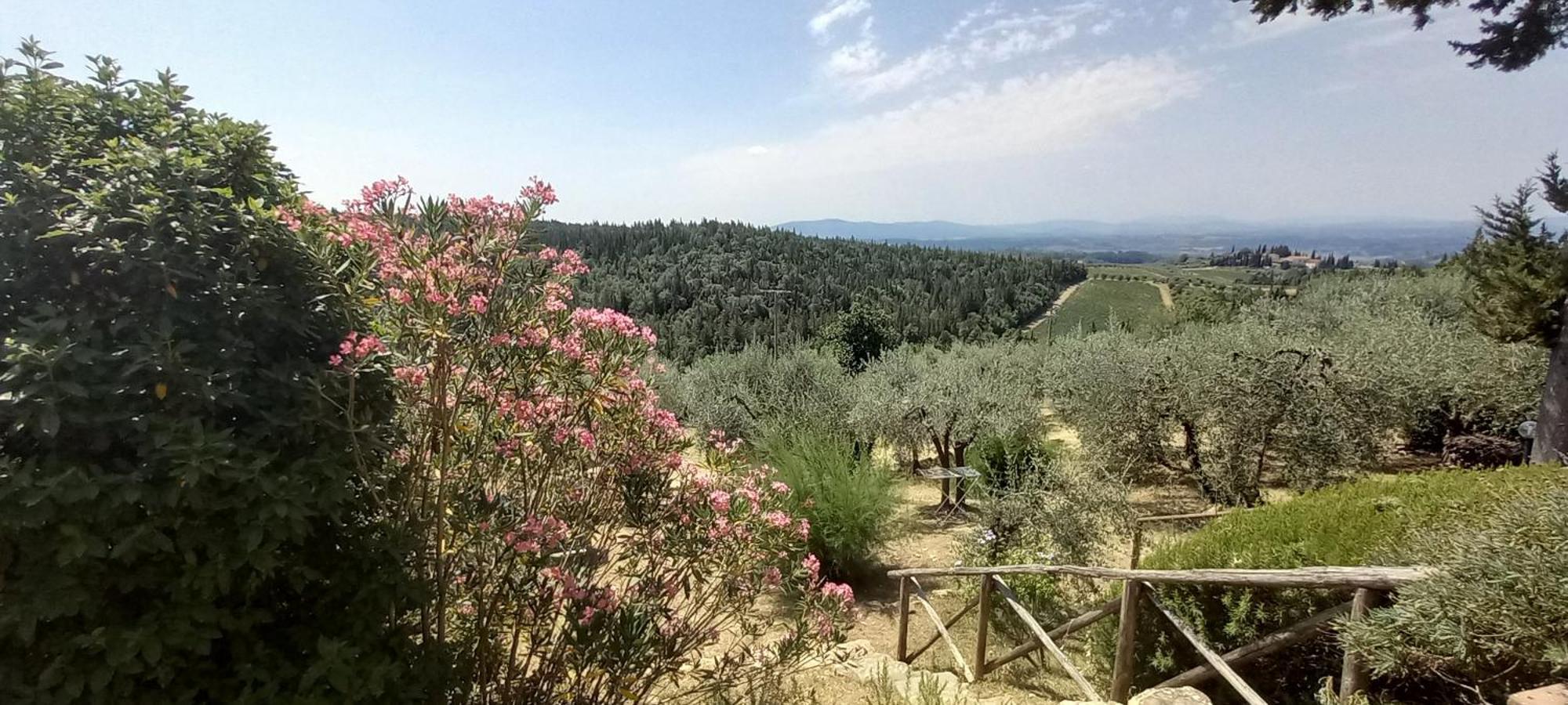 Borgo Nel Chianti Istrice Con Piscina Tennis E Wifi Castellina in Chianti Exterior photo